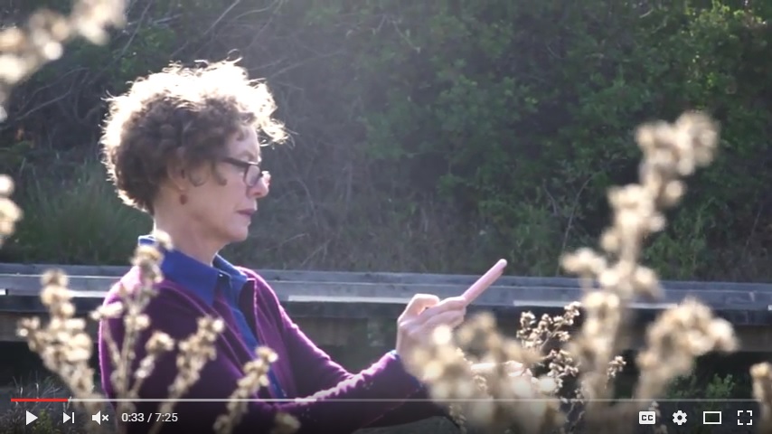 Video still: A talk with author Mary Ellen Hannibal about citizen science and iNaturalist