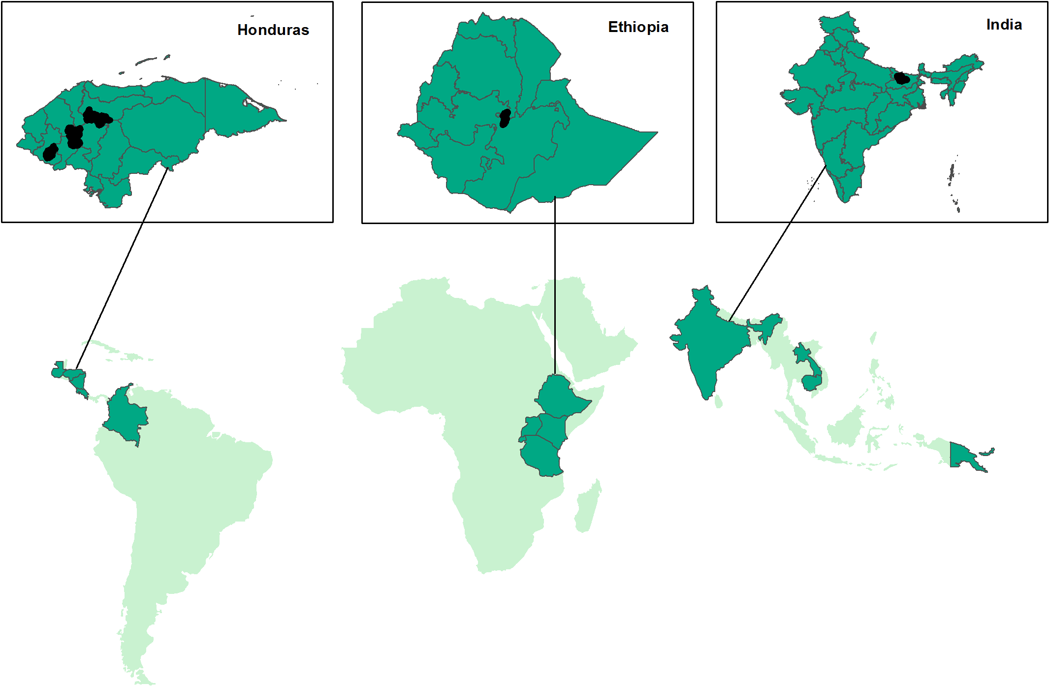 Map of locations of study participants in Honduras, Ethiopia, and India.